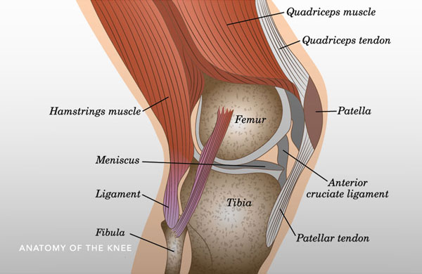 Knee ligament surgery (PCL)